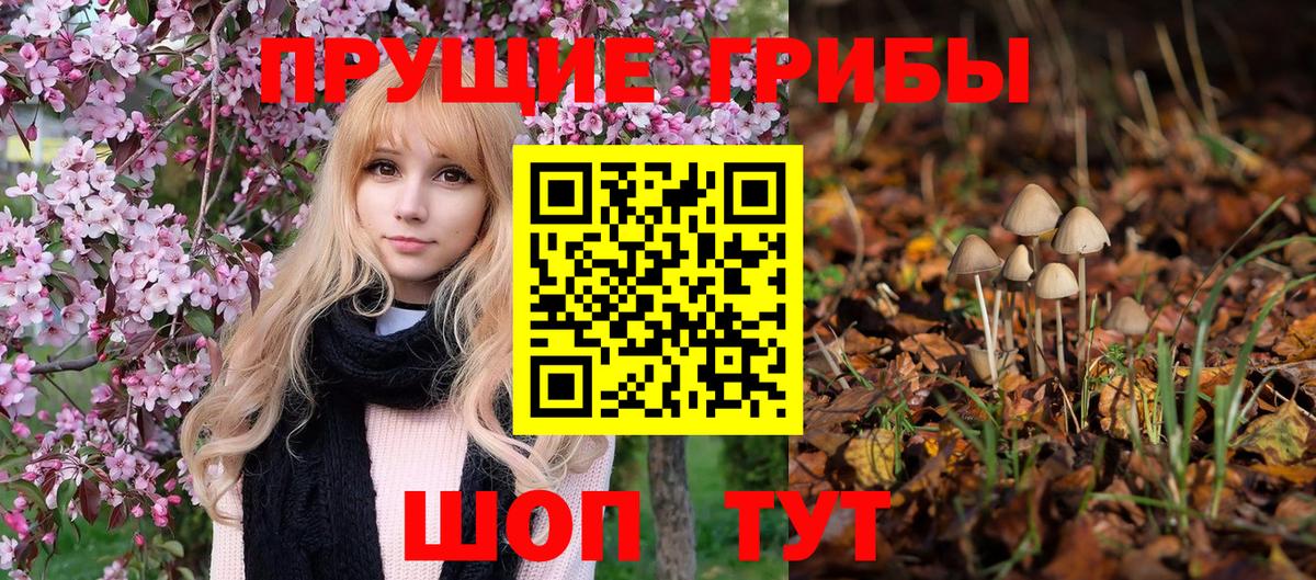 Тольятти  Галлюциногенные грибы мицелий  Псилоцибиновые грибы Cubensis  Вход с VPN 